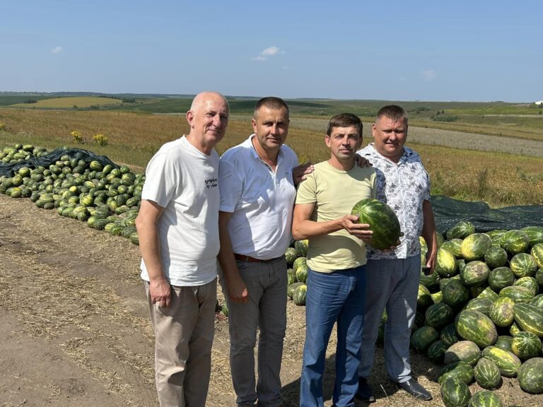 У Бугринській громаді ділилися секретом вирощування кавунів на Рівненщині
