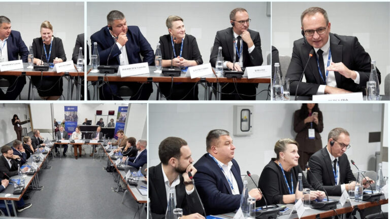 Тетерівська громада взяла участь у засіданні круглого столу з бюджетної партисипації
