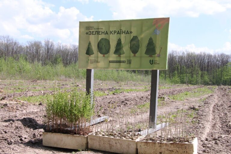 На Вінниччині у рамках програми Президента «Зелена країна» висадили дубово-модриновий ліс