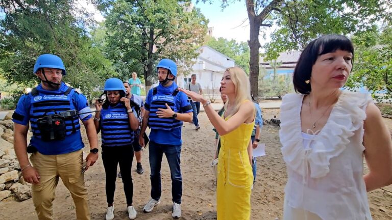 Херсон відвідали представники Всесвітньої організації охорони здоров’я