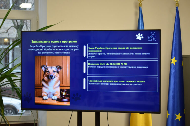 У Кропивницькому вперше розробили програму регулювання чисельності безпритульних тварин