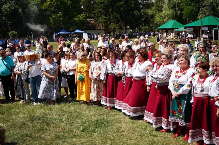 У Переяславі до Дня Конституції України відбувся масштабний фестиваль «Київщина — земля сили»