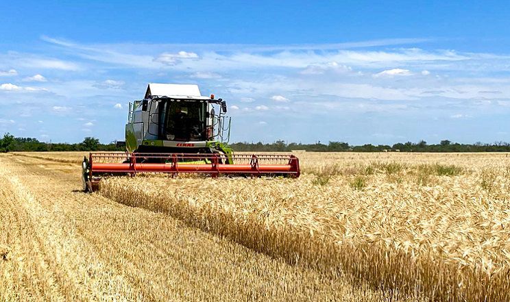 Аграрії Вінниччини розпочали жнива – один з ключових етапів у вирощуванні сільськогосподарських культур